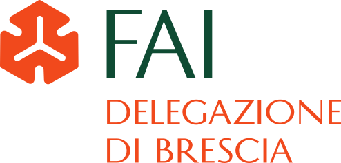 FAI